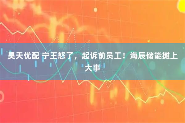昊天优配 宁王怒了，起诉前员工！海辰储能摊上大事