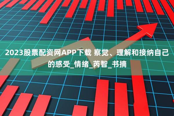 2023股票配资网APP下载 察觉、理解和接纳自己的感受_情绪_芮智_书摘