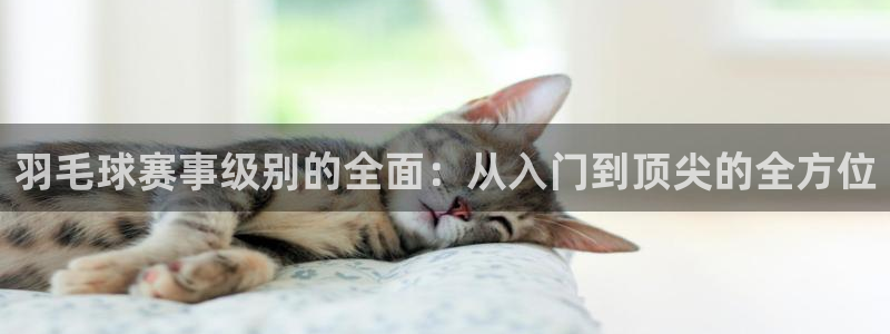 意昂体育app下载安装官网：羽毛球赛