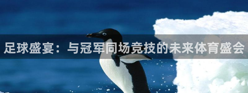 意昂体育app正版下载安装：足球盛宴：与冠军同场竞技的未来体