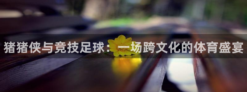  意昂体育app官方下载安装：猪猪侠与竞技足球：一场跨文化的体