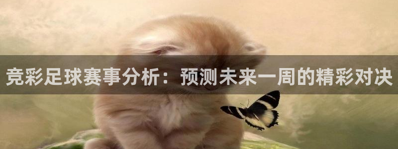 意昂体育是正规平台的吗：竞彩足球赛事