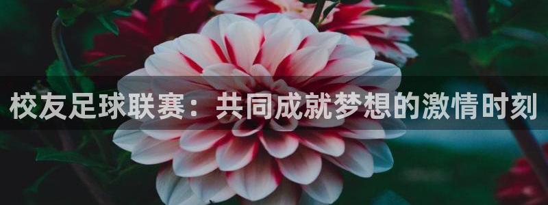 意昂平台官网：校友足球联赛：共同成就