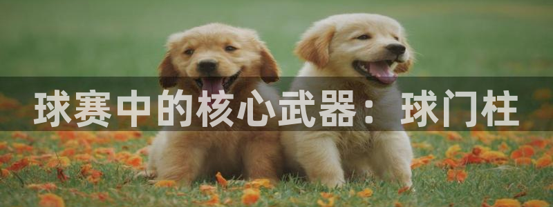  意昂体育app官方网站入口在线观看：球赛中的核心武器：球门柱