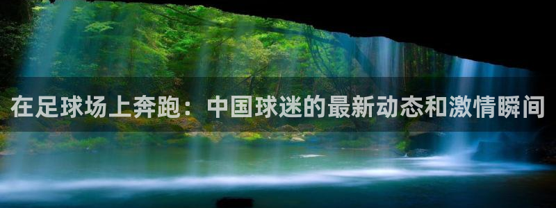 意昂登录：在足球场上奔跑：中国球迷的