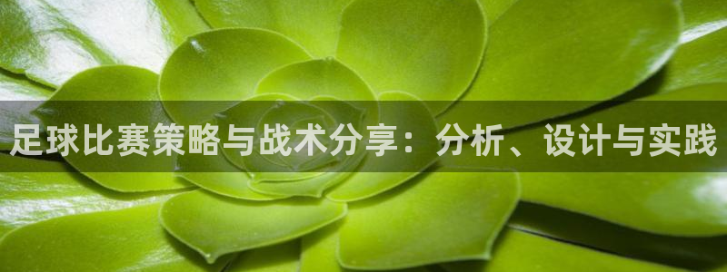 意昂体育app官方网站入口在线观看：