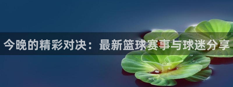  意昂体育是正规平台的吗：今晚的精彩对决：最新篮球赛事与球迷分