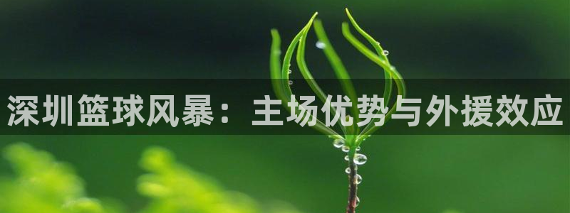 意昂官网注册平台：深圳篮球风暴：主场优势与外援效应