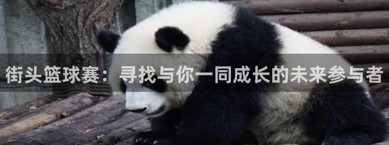 意昂平台官网：街头篮球赛：寻找与你一同成长的未来参与者