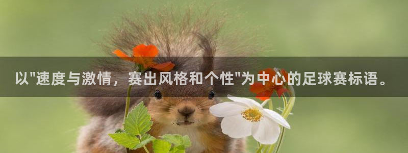  意昂体育app官方下载安装：以\