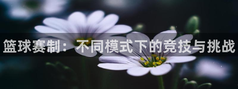 意昂体育app官方网站入口下载：篮球