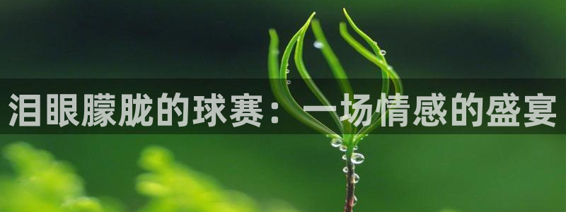 意昂平台登录入口最新版本介绍：泪眼朦