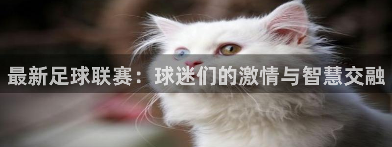 意昂体育官网：最新足球联赛：球迷们的