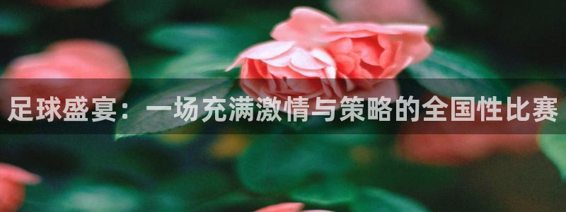 意昂平台官网：足球盛宴：一场充满激情