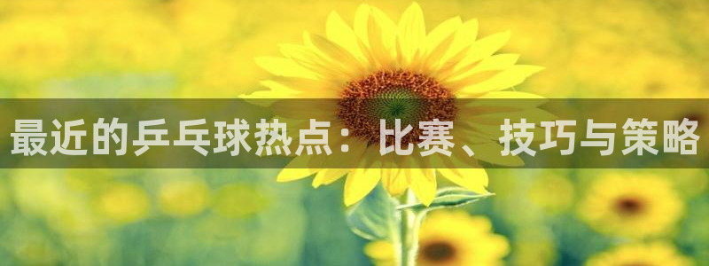 意昂体育app官方下载安装：最近的乒