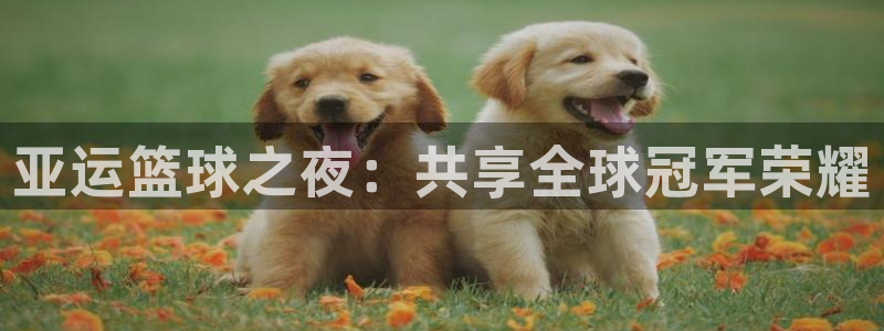  意昂平台官网：亚运篮球之夜：共享全球冠军荣耀