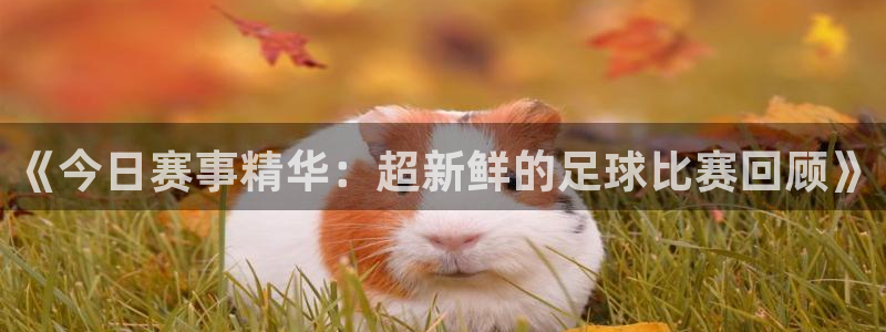 意昂体育app正版下载安装：《今日赛事精华：超新鲜的足球比赛