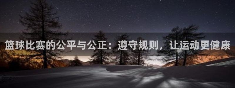  意昂体育网页登录入口入口官网网页版：篮球比赛的公平与公正：遵