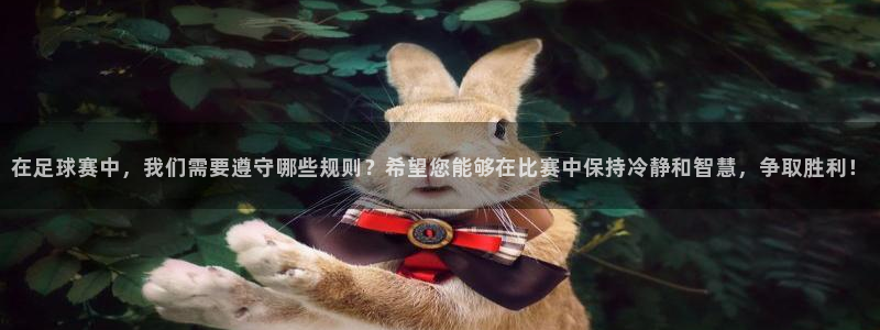  意昂体育app官方网站入口下载：在足球赛中，我们需要遵守哪些