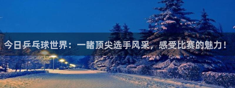 意昂官网注册平台：今日乒乓球世界：一睹顶尖选手风采，感受比赛