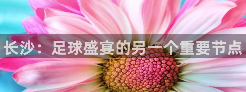 意昂平台登录方法：长沙：足球盛宴的另