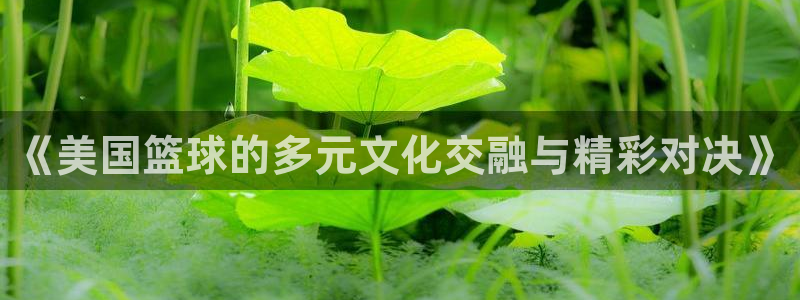 意昂体育官网：《美国篮球的多元文化交
