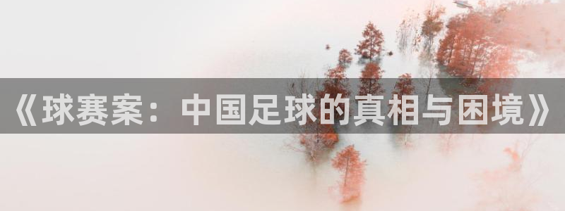 意昂体育网页登录入口入口官网网页版：《球赛案：中国足球的真相